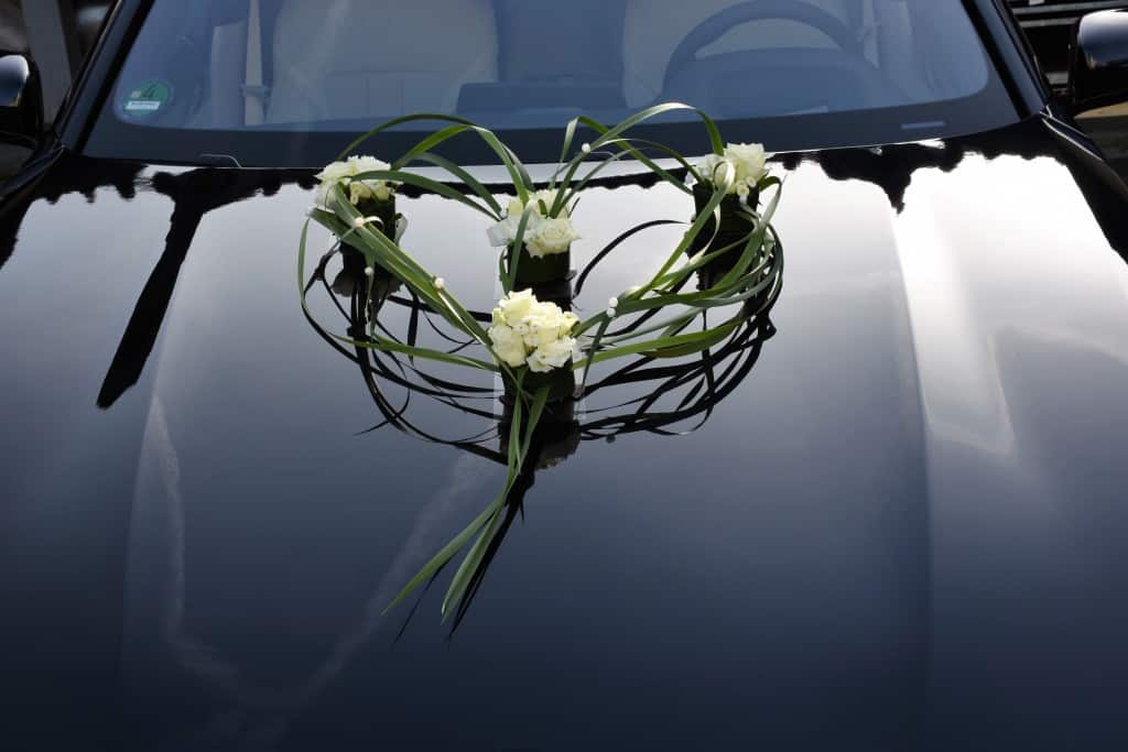 filigranes Herz aus Thyphablättern